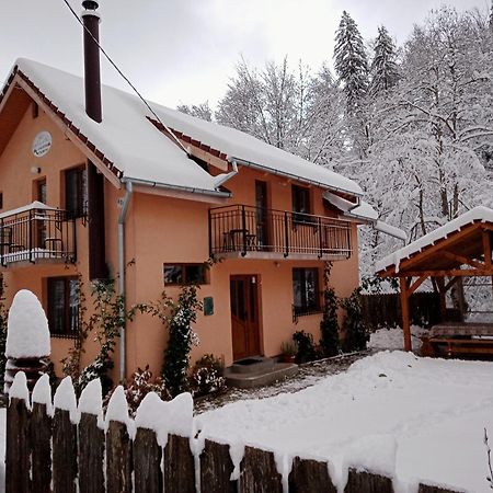 Casa Iulia & Matei Cartisoara Exterior foto