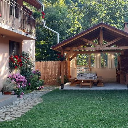 Casa Iulia & Matei Cartisoara Exterior foto
