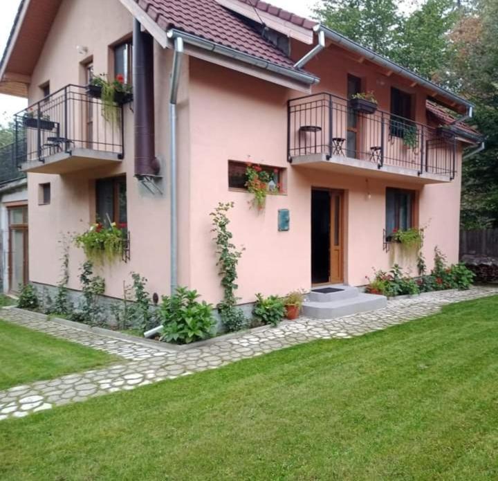 Casa Iulia & Matei Cartisoara Exterior foto