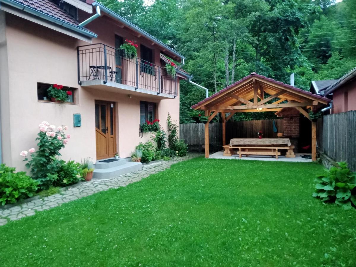 Casa Iulia & Matei Cartisoara Exterior foto