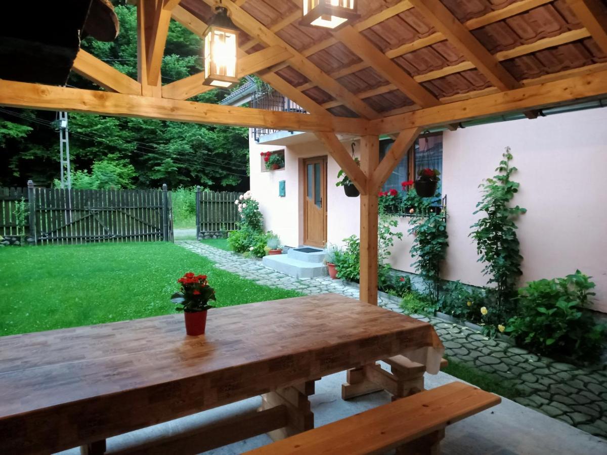 Casa Iulia & Matei Cartisoara Exterior foto