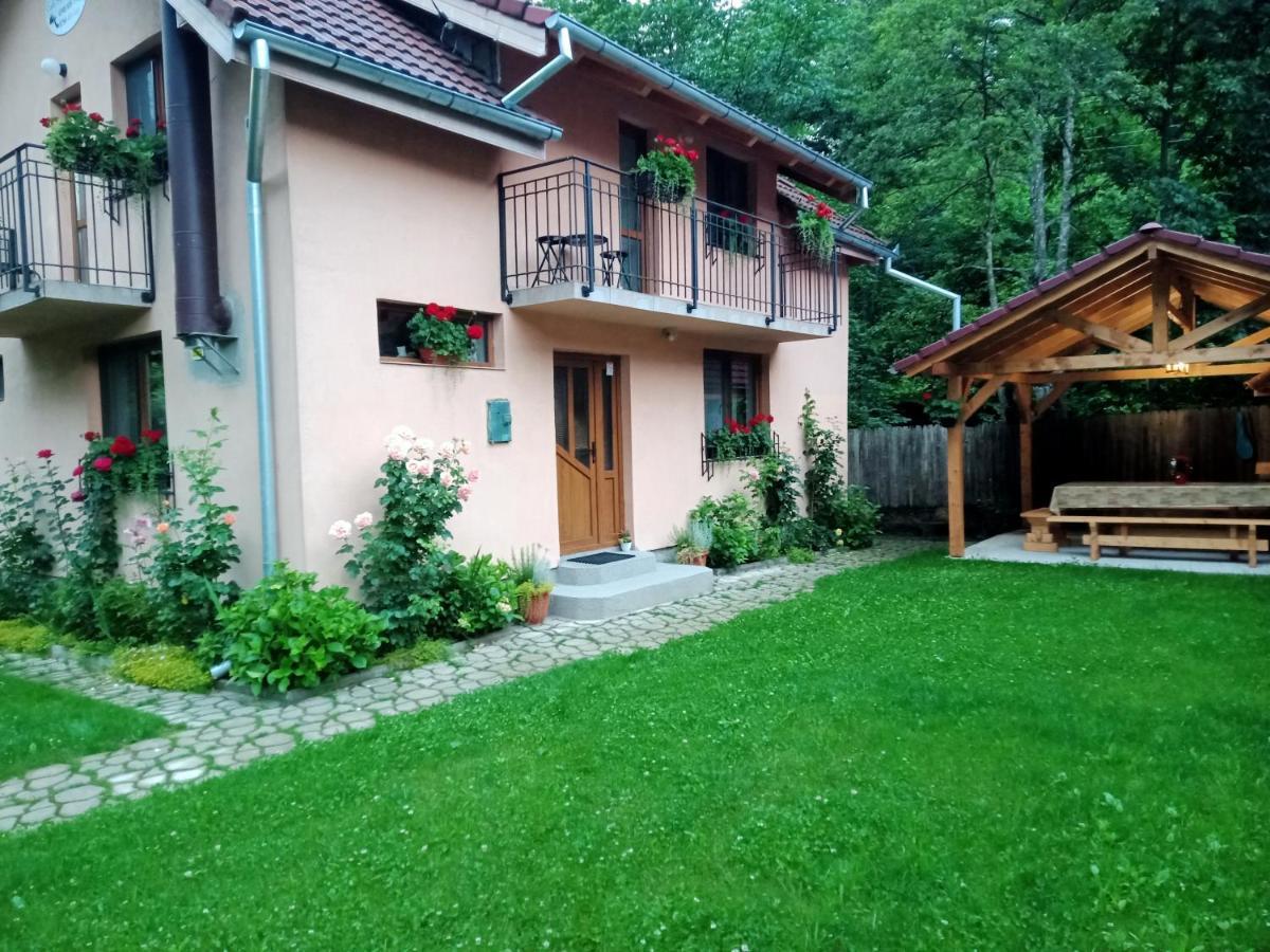 Casa Iulia & Matei Cartisoara Exterior foto