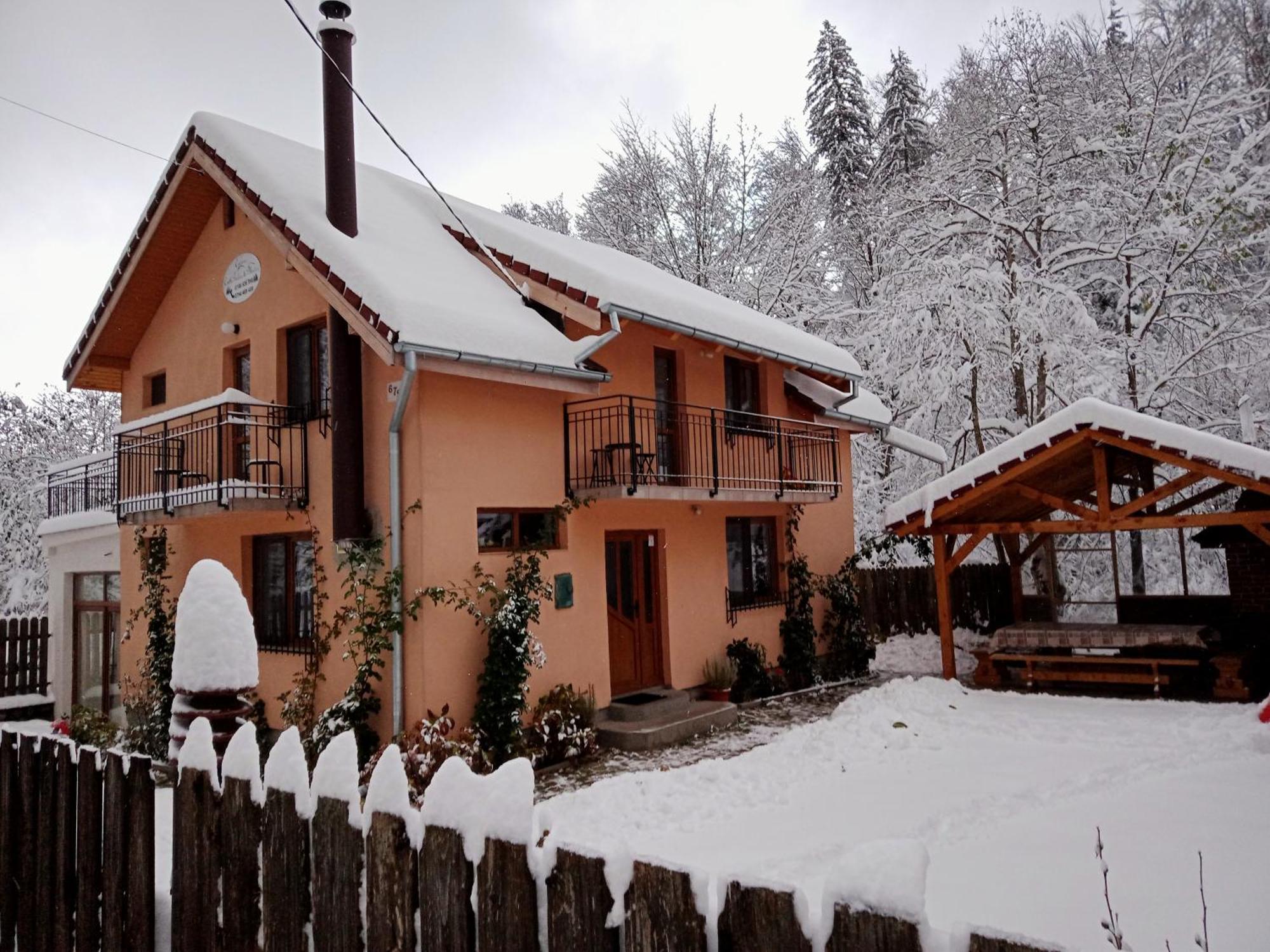 Casa Iulia & Matei Cartisoara Exterior foto