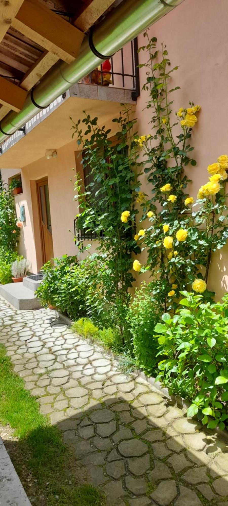 Casa Iulia & Matei Cartisoara Exterior foto