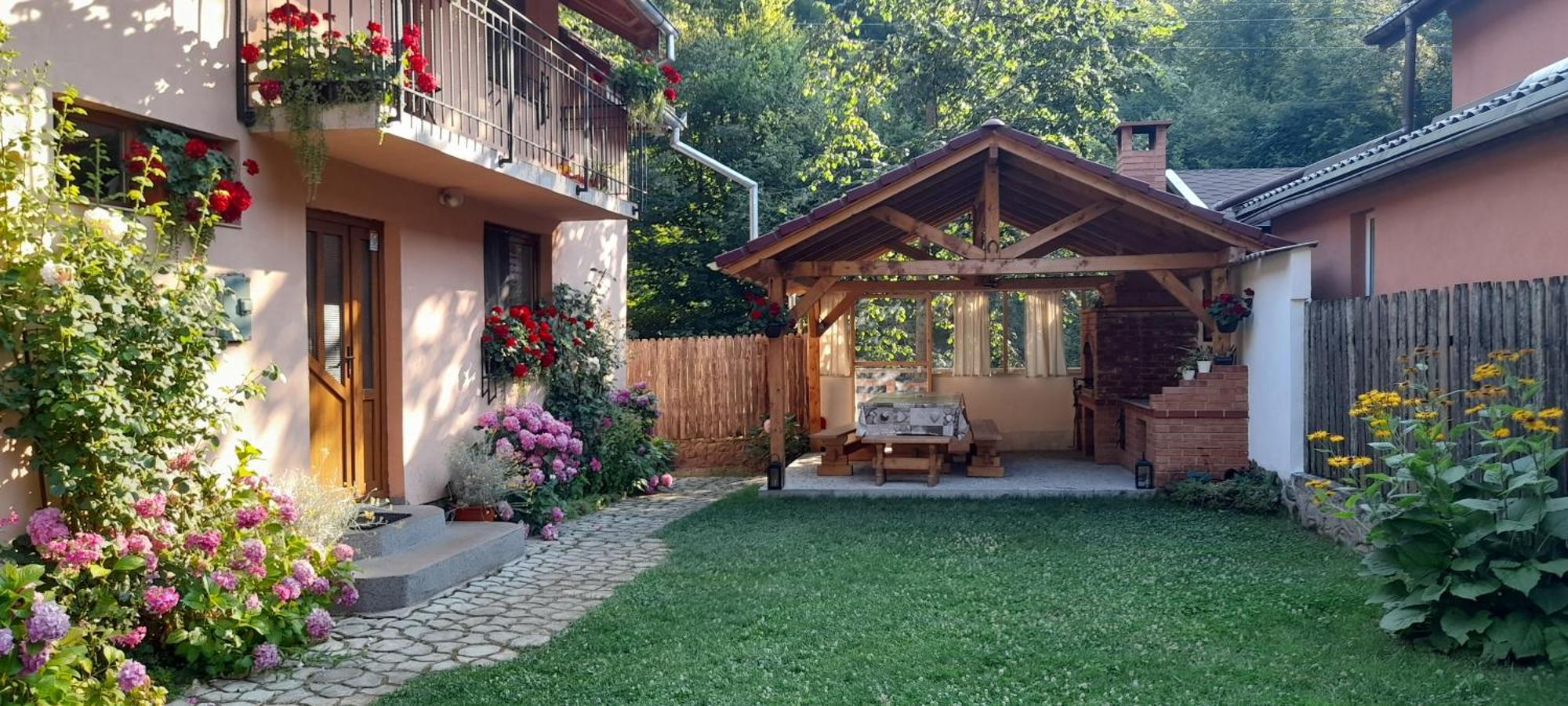 Casa Iulia & Matei Cartisoara Exterior foto